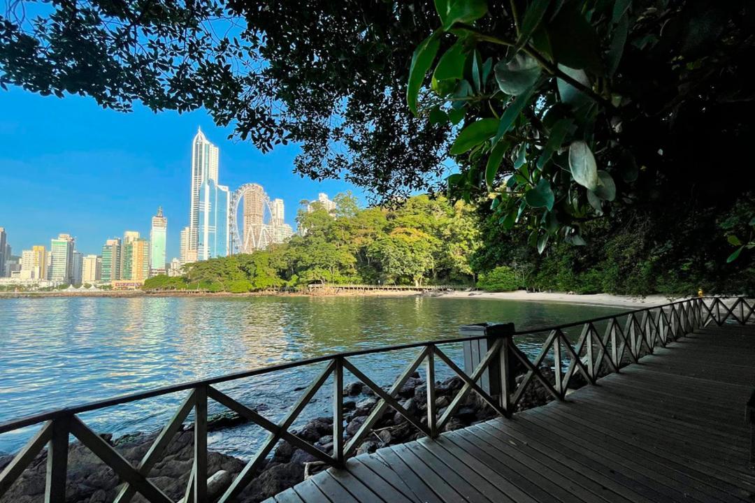 Apartamento De Frente O Mar Em